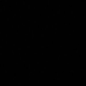 Meet your Posher, Sasha